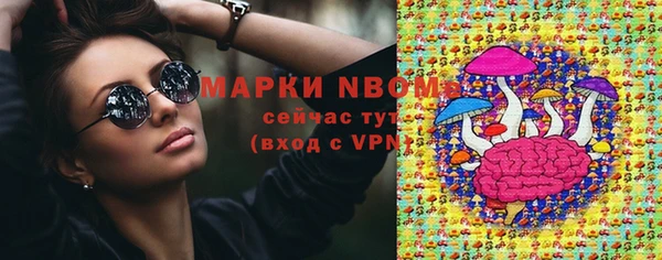 ПСИЛОЦИБИНОВЫЕ ГРИБЫ Алексин